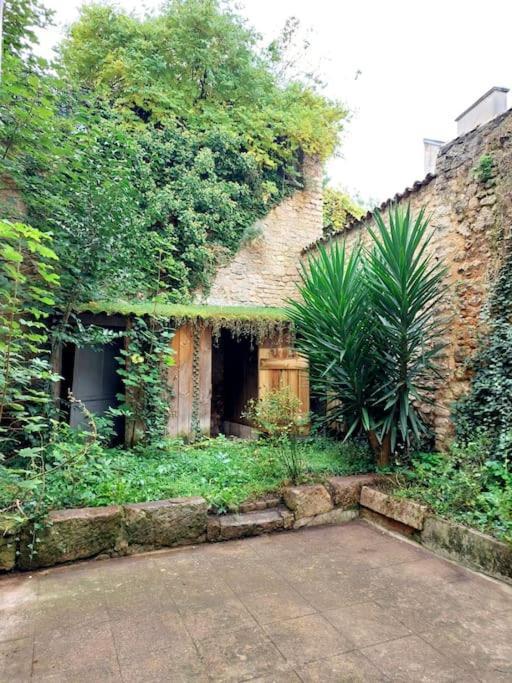 Le Patio - Cinelodge Avec Jardin Poitiers Exterior photo